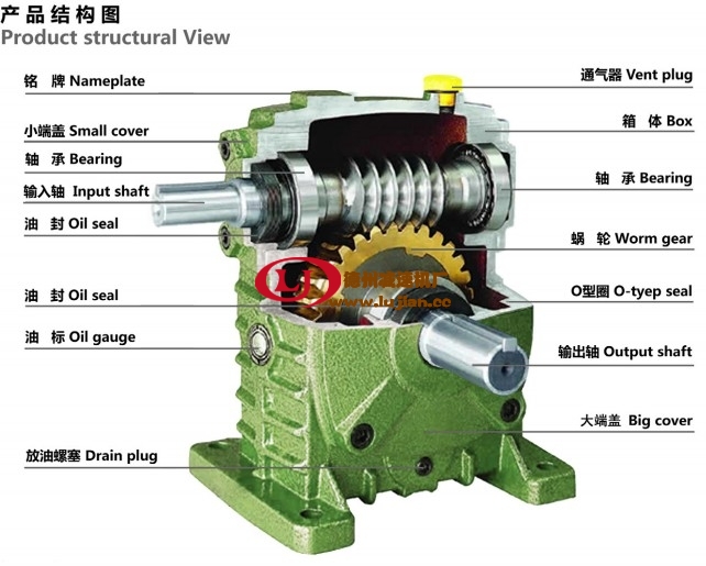 WP�u݆΁�U�p�ٙC(j��)